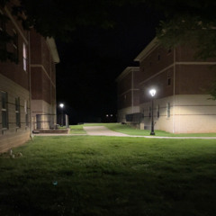 I Dont Give a Shitting