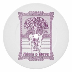 Adam & Steve - My Life  [Clip]