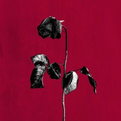 blackbear - idfc (vocal cover)