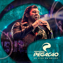 Viva a Bagaceira (Ao Vivo)