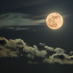 the moon is calling - Shanon Perera