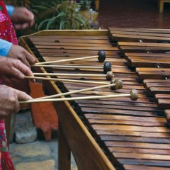 Marimba Riff