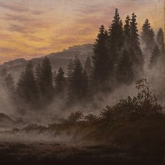 sunbeams carefully appearing