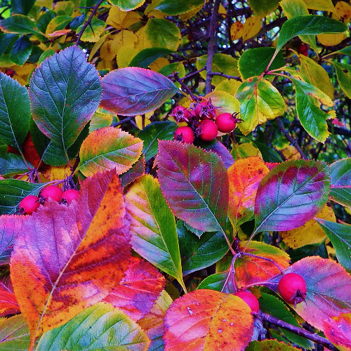 Sound Sanctuary Volume 2