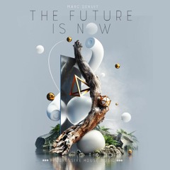 Marc Denuit // The Future is Now Podcast 46 March 2022