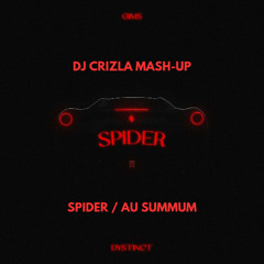 GIMS & DYSTINCT - SPIDER AU SUMMUM (DJ Crizla Mash-Up)