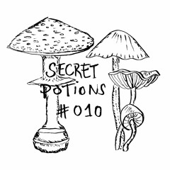 Secret Potions #010: Monk Ernie - Adin (Original Mix) [Playground Records] FREE DOWNLOAD