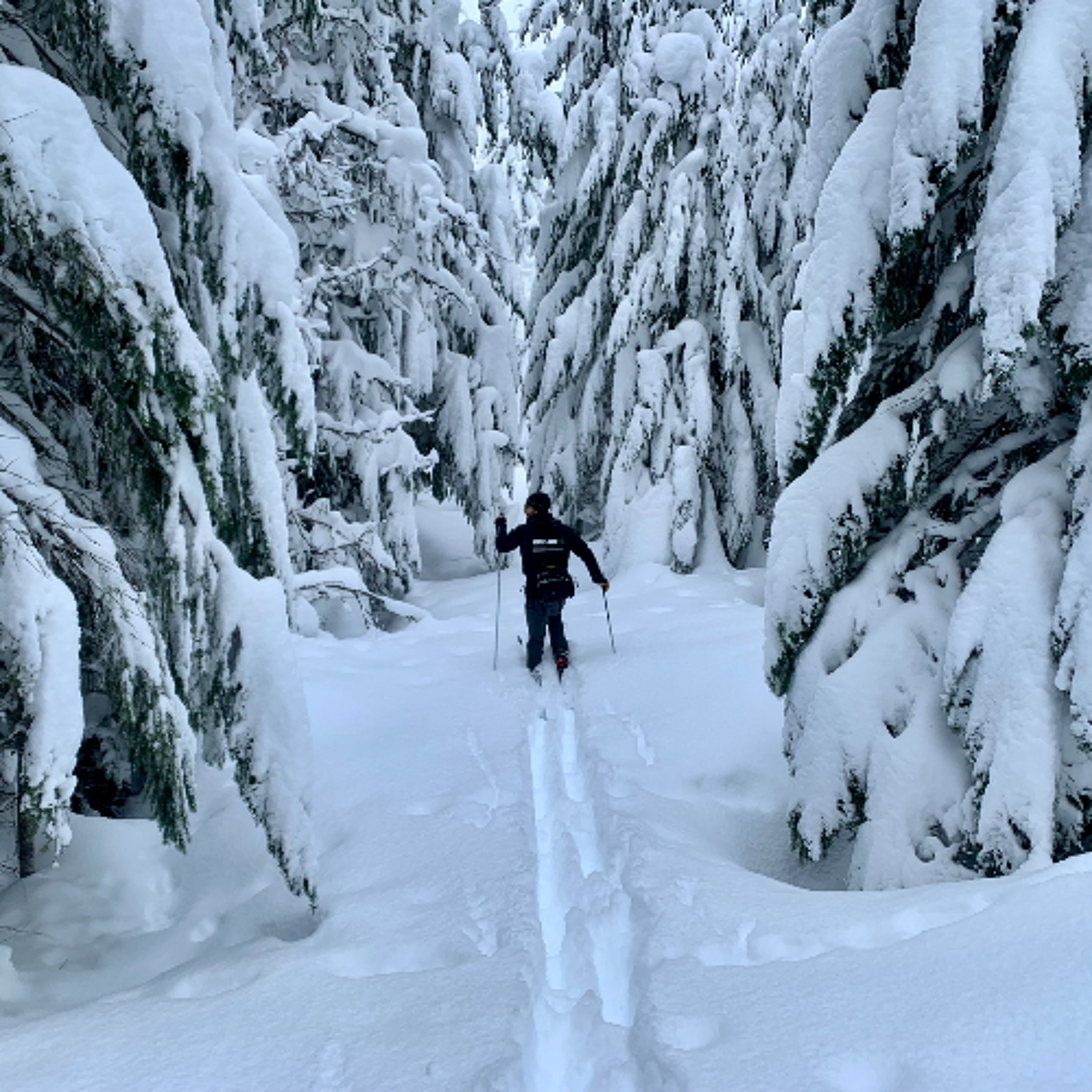 Explore Oregon Podcast: The state\'s most beautiful places and biggest issues