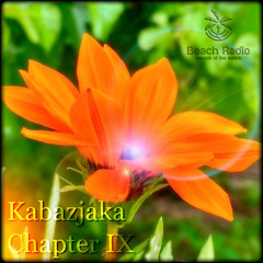 My Diary, Chapter 9