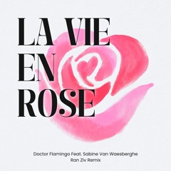Doctor Flamingo Feat Sabine Van Waesberghe - La Vie En Rose (Ran Ziv Remix)