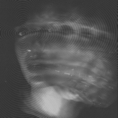 WL//WH - APRIL 2025 \\ Post-Punk/ Coldwave/ Darkwave/ Synth-Pop/ Minimal Synth