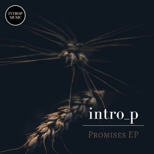 Intro_p - Promises (Original Mix)