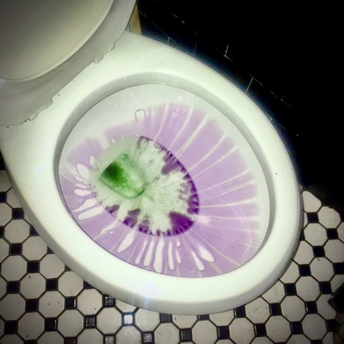 1 /2 Bichon-Frise-Mix