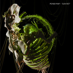 Pondi Map - What you can't control