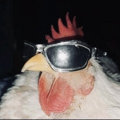 P-AN Remix - Get Loy x Burn it Down