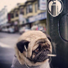 Я ПИЗД*ТЫЙ (FREESTYLE)