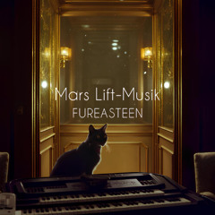 MARS_LIFT_MUSIK_Sample 2025_6_13 Streaming Start