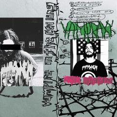 Vampire In The Ceiling