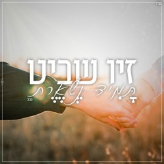 זיו שביט - תמיד נשארת(קאבר)