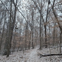 Вашингтон 2.21.mp3