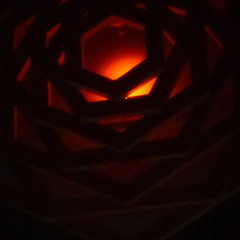 PanAgaric @ Elysium_Camakavum 2025