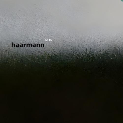 Artwork for Touch Station with Spruce Cones by Haarmann
