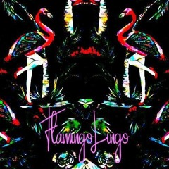 021020 | Flamingo Lingo | Arco
