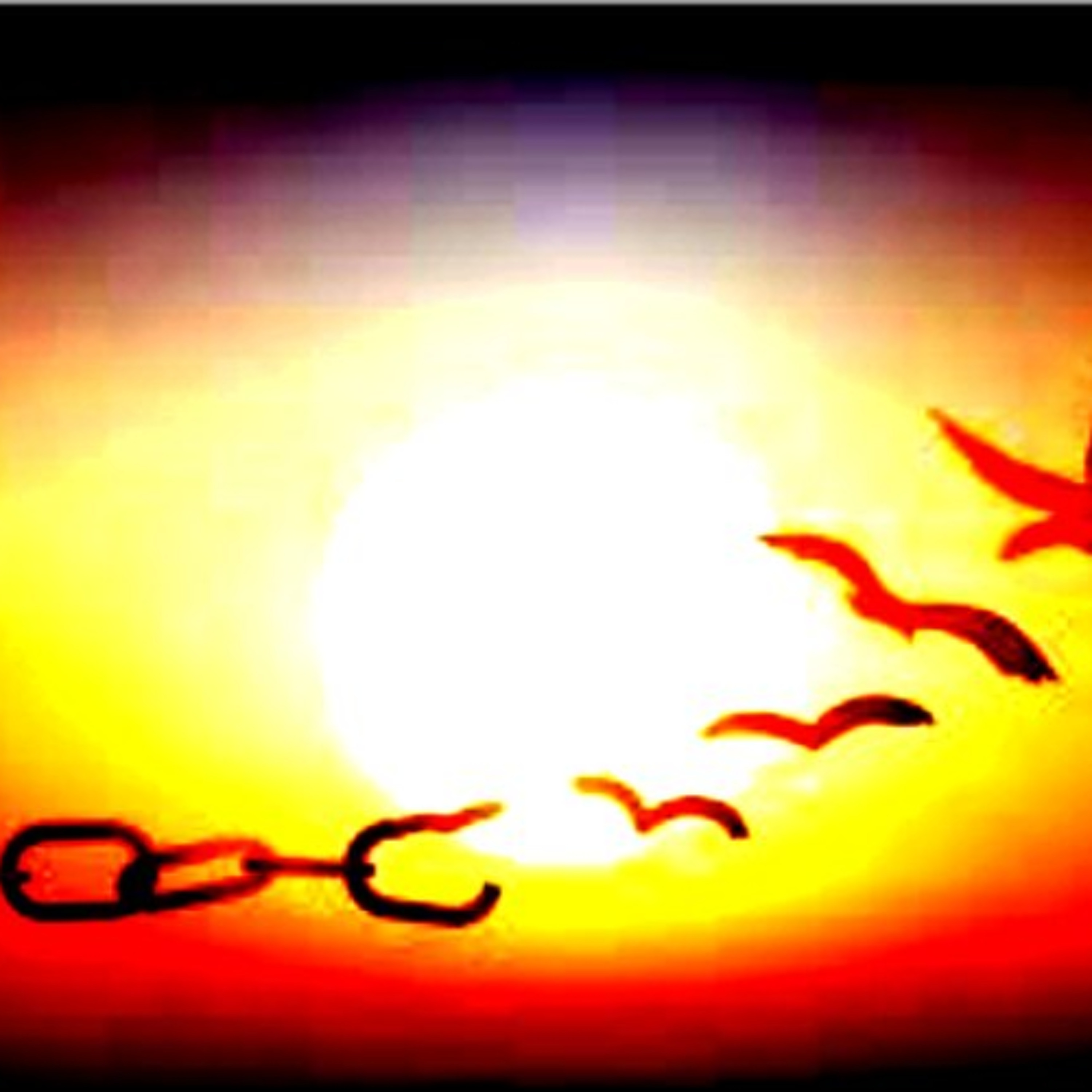 Freedom's Flight 17 02 2026 episode artwork