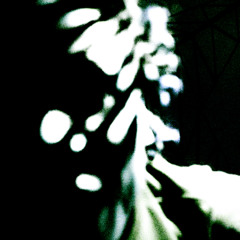 the role prod.jesusmagazines (lyrics in description)