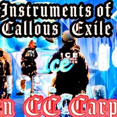 I.C.E. Instruments of Callous Exile
