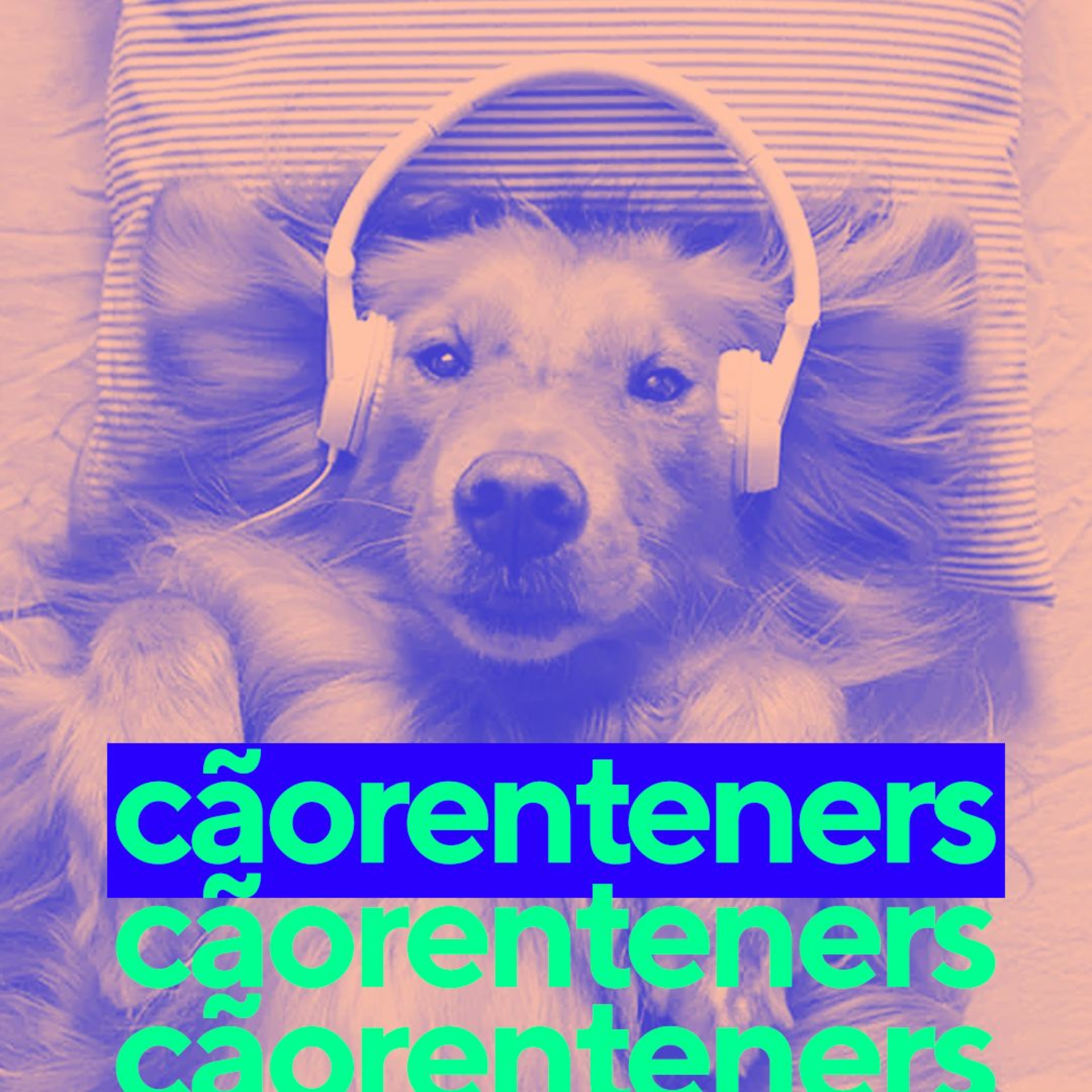 #6 cãorenteners episode artwork