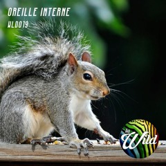 WLD019: Oreille Interne