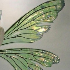 butterflies w/ sacha online (nomu)