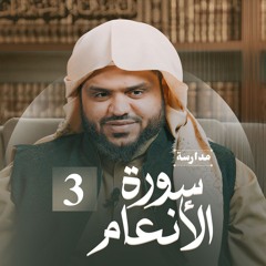 مدارسة سورة الأنعام 03 | أحمد السيد