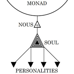 MAGIC MUSHROOM and the genius INDUCED DIVINE MADNESS (NO SIS)