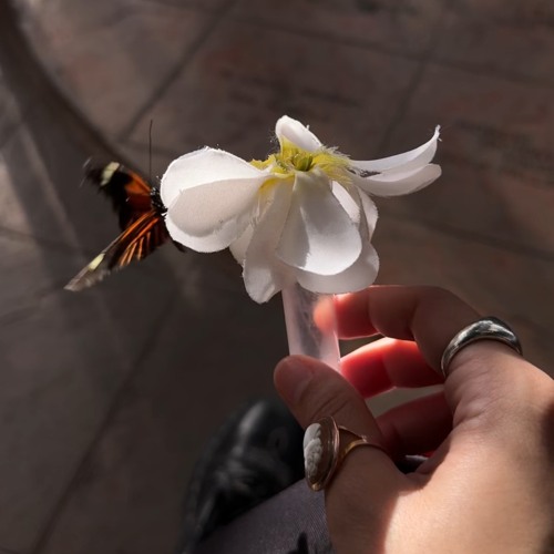 11.10.25_icarealotunfortunately.wav