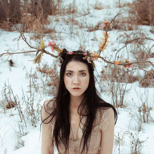 Flora and Fauna (Rough Draft)