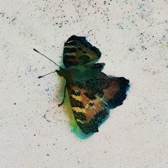 Flicker