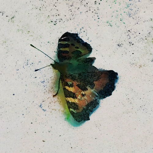 Flicker