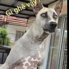 Đáy Biển X Mạc Vấn Quy Kỳ X Thanh Tị AM FT SS Remix