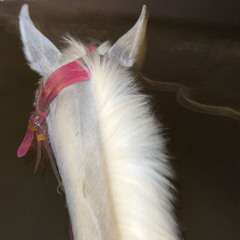 ‎⁨ناهبني نورك الواري 1982