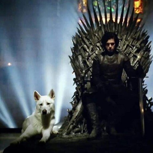 King of the North