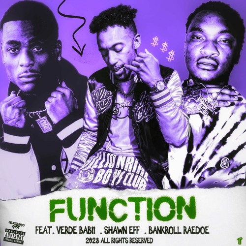 Shawn Eff & Verde Babii ft. Bankroll RaeDoe - Function [Thizzler Exclusive]