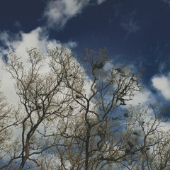 yah 이야 (writing a song)