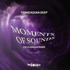 Trinidadian Deep - Moments Of Sounds (Cee ElAssaad Remix)