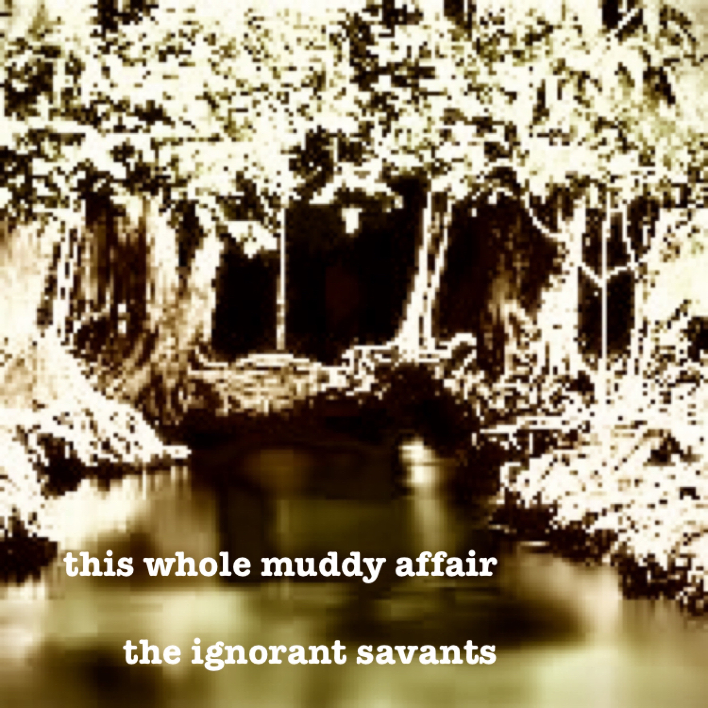 the ignorant savants
