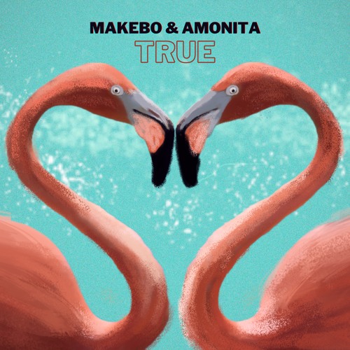 Makebo & Amonita - True (Original Mix)