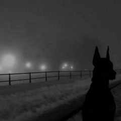 HELLHOUND