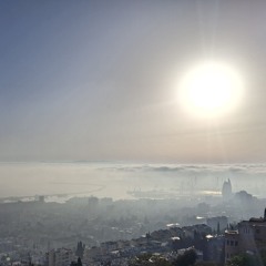 MSH KAZZAB