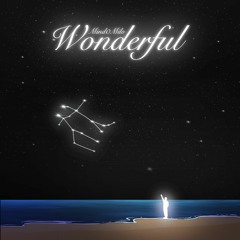 Wonderful (Prod. Dmc style)